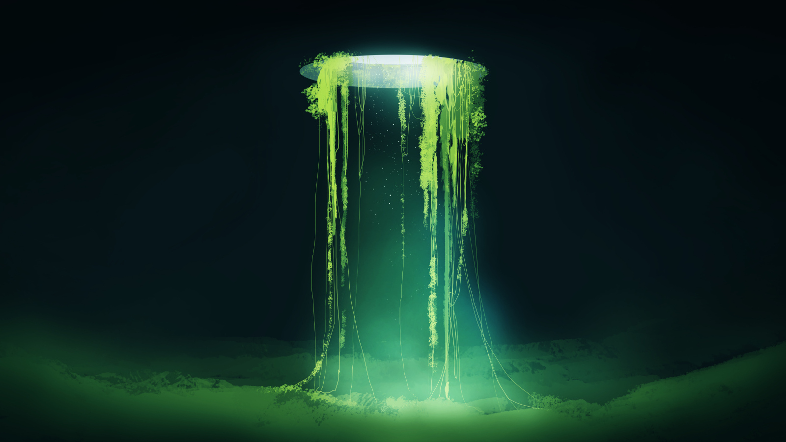 Растения растут из дыры в небе