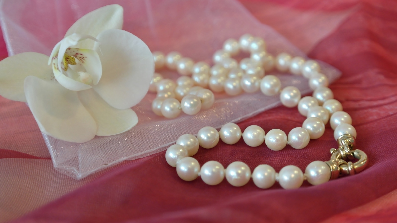 Жемчужные бусы с белым цветком орхидеи