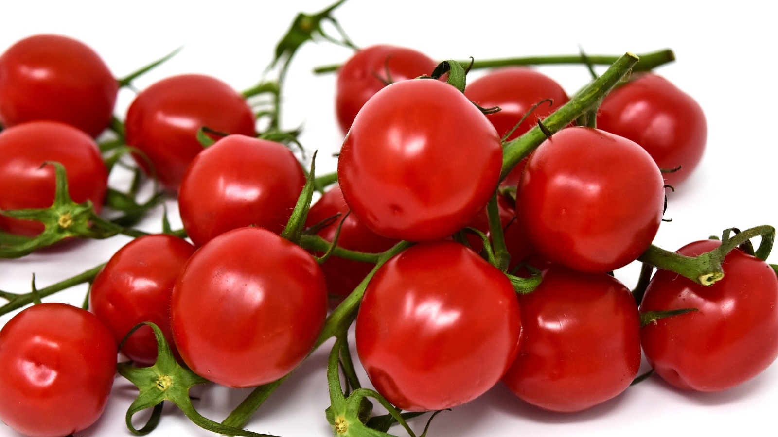 Small red cherry tomatoes