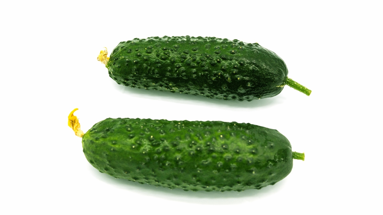 Два зеленых огурца на белом фоне