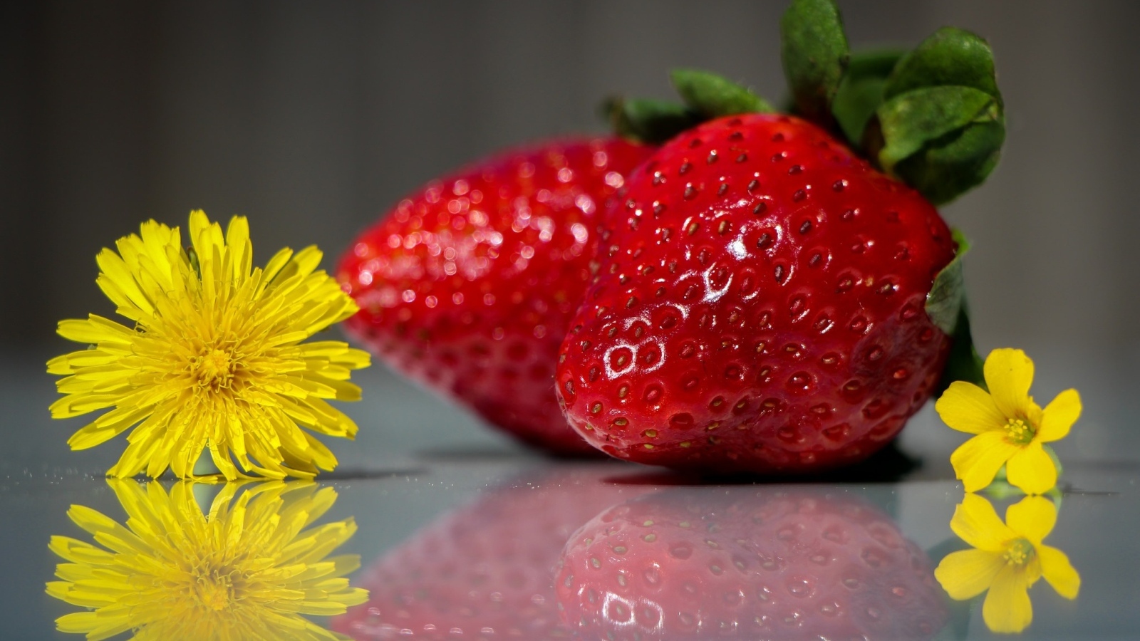 Клубника с одуванчиками на зеркальной поверхности