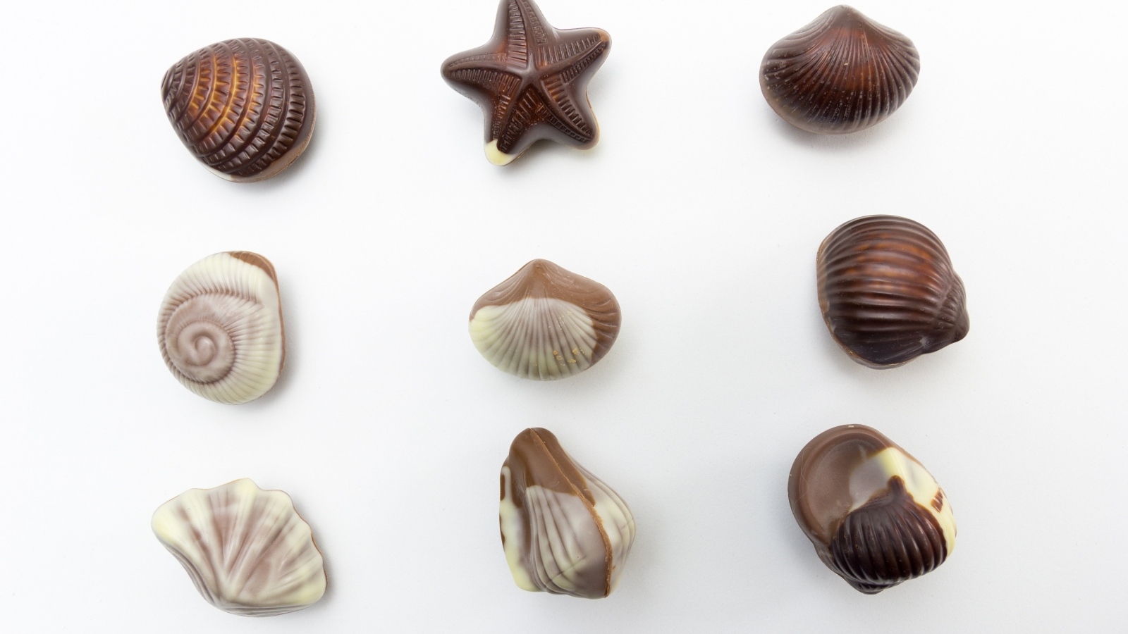 Шоколадные конфеты в форме ракушек на сером фоне