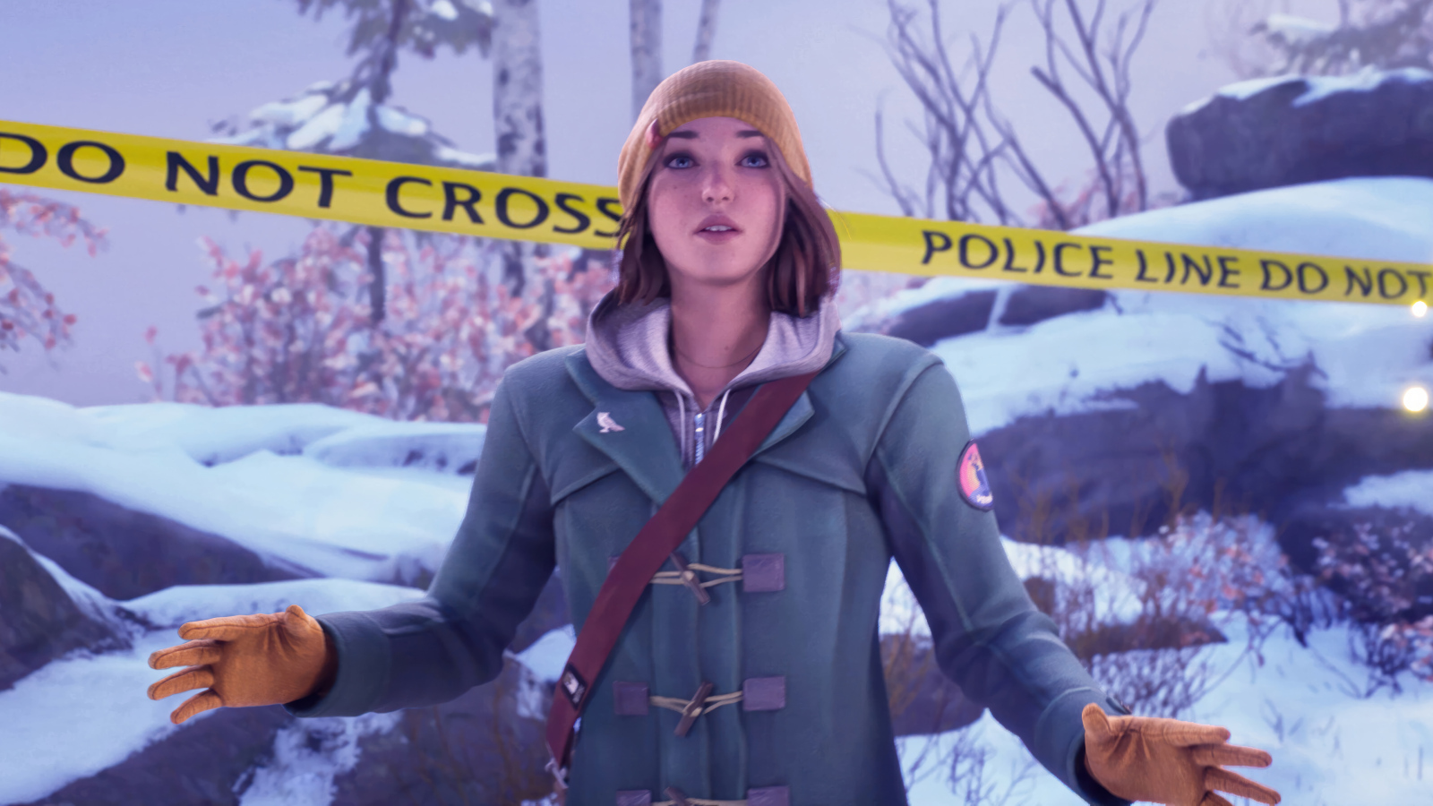 Компьютерная игра Life is Strange: Double Exposure, 2024