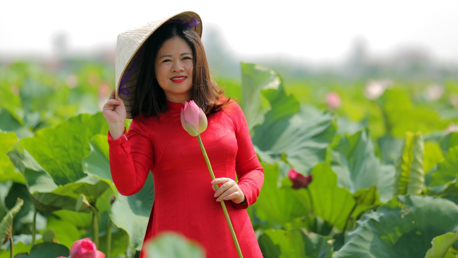 Девушка азиатка в красном платье у цветов лотоса