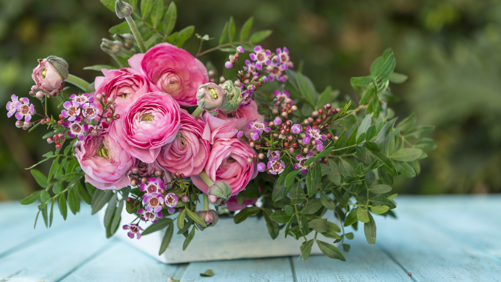 Букет розовых цветов лютика в ящике на голубом столе