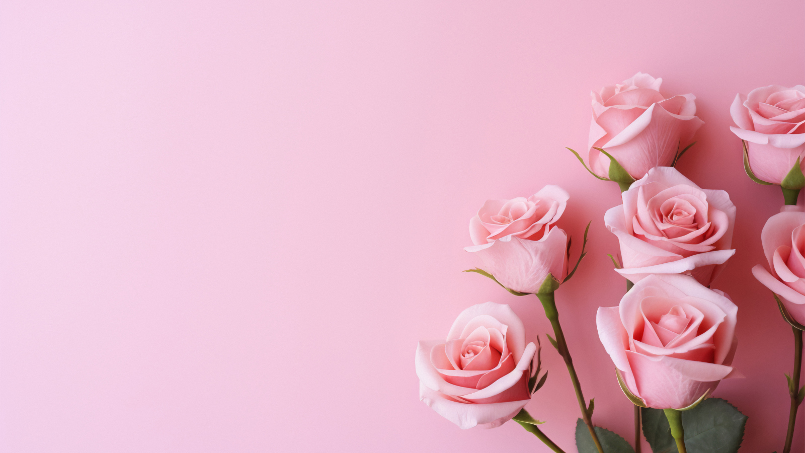 Букет роз на розовом фоне, шаблон для поздравительной открытки