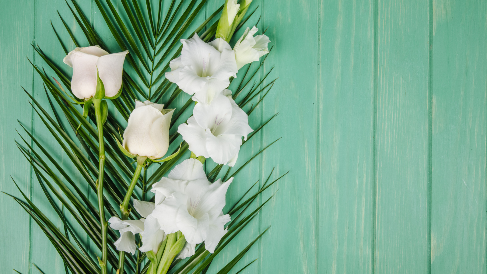 Нежные белые гладиолусы с розой на зеленом фоне