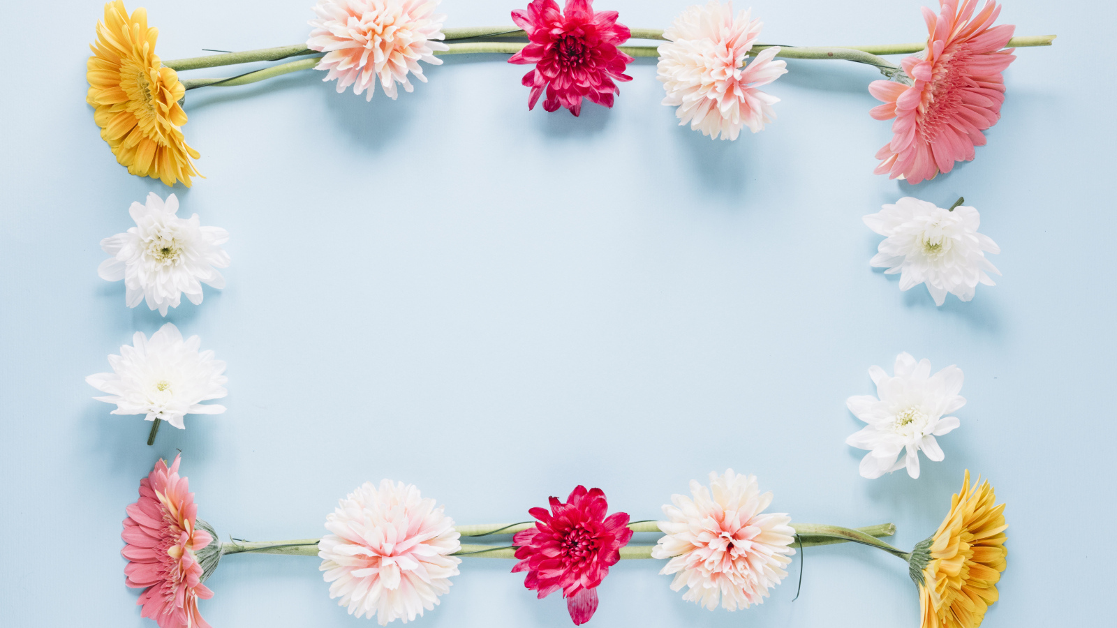Рамка из разноцветных цветов на голубом фоне