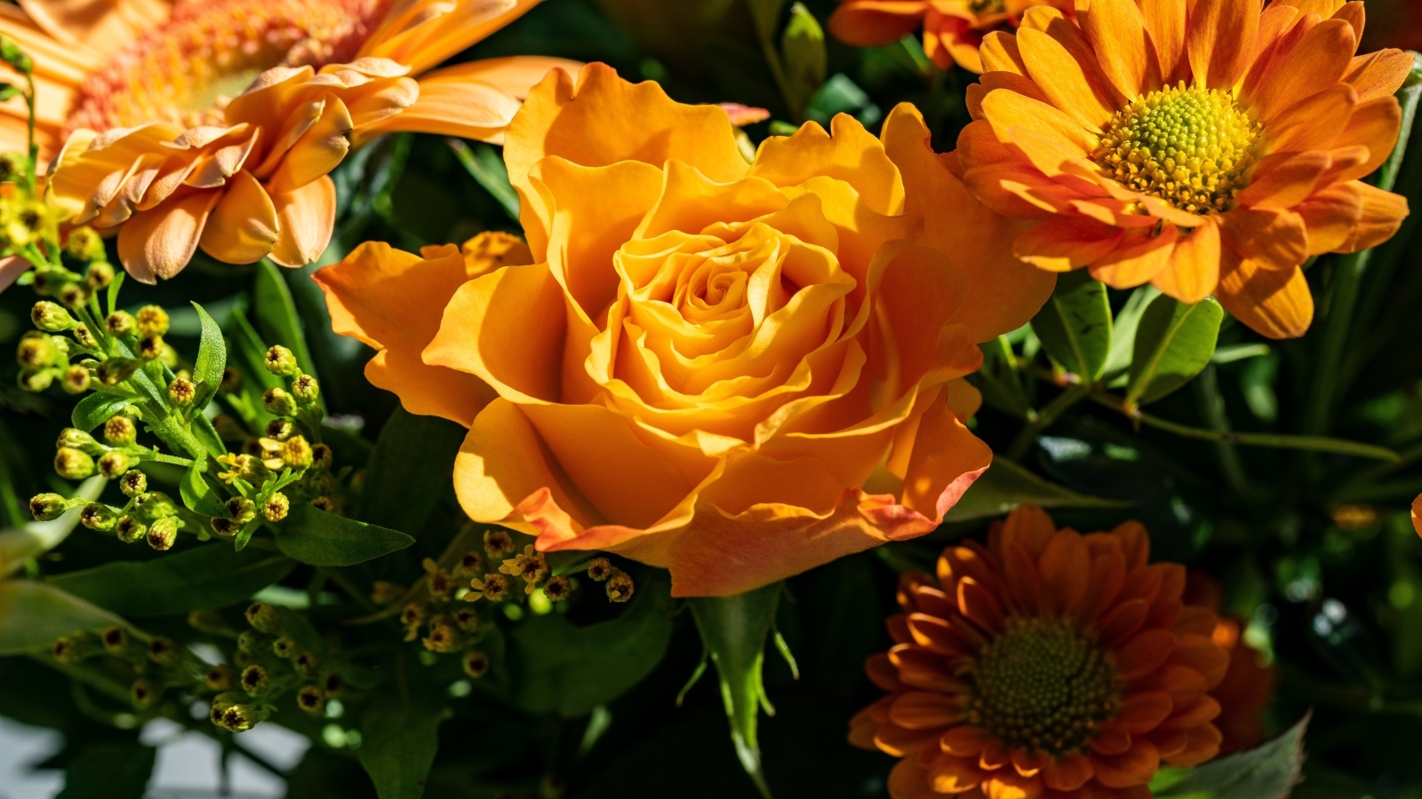 Оранжевые розы и хризантемы крупным планом