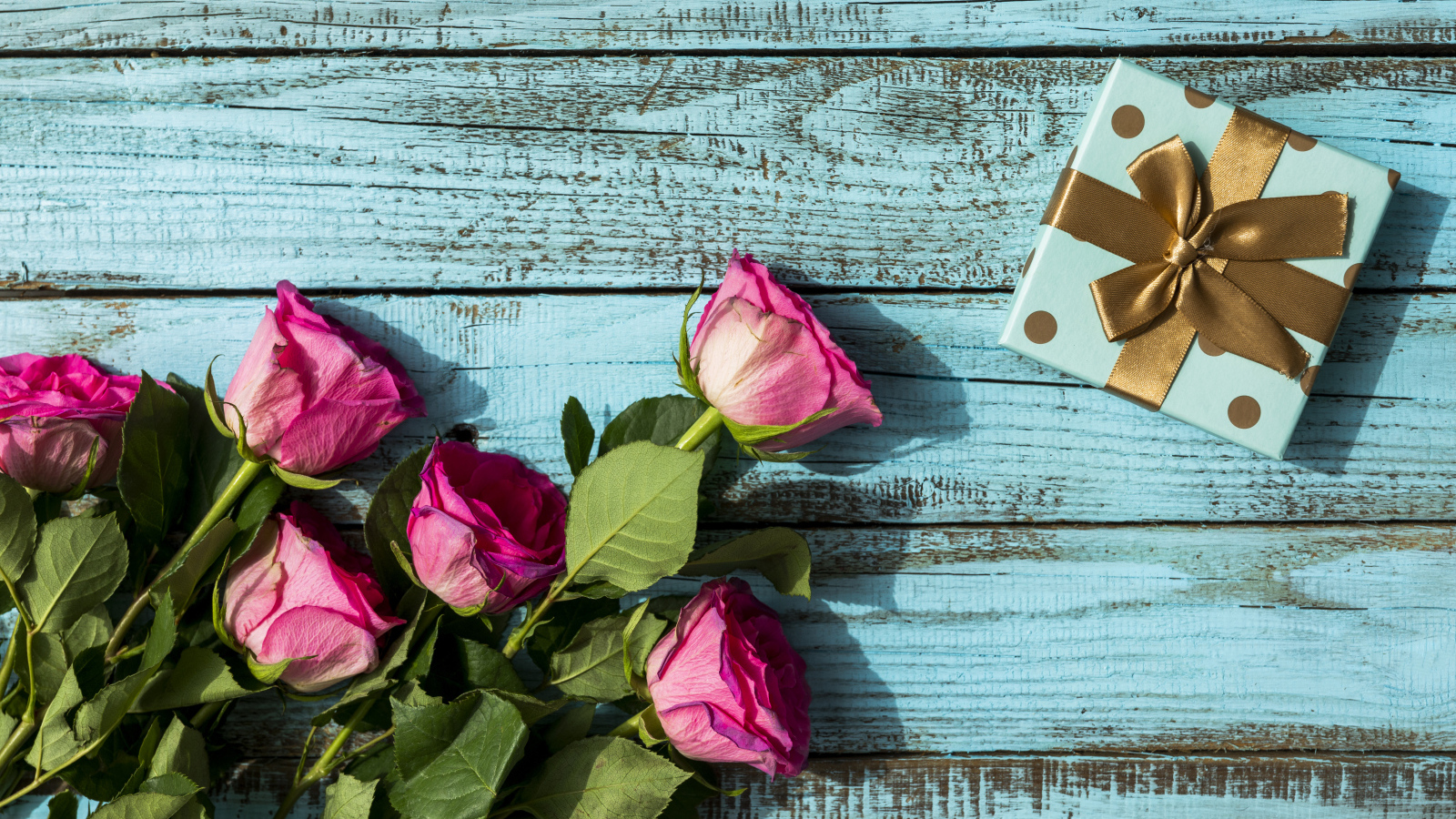 Розовые розы с подарком на голубом фоне на день рождения