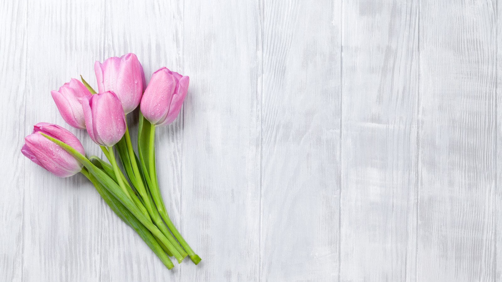 Розовые тюльпаны на сером деревянном столе