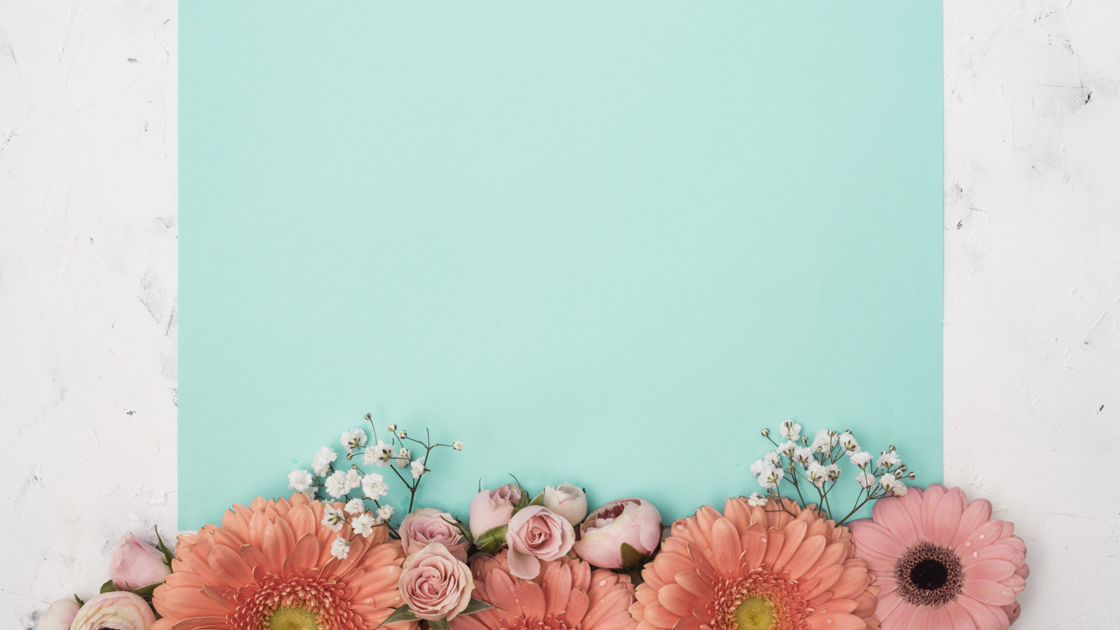 Лист голубой бумаги для фона с цветами розы и герберы