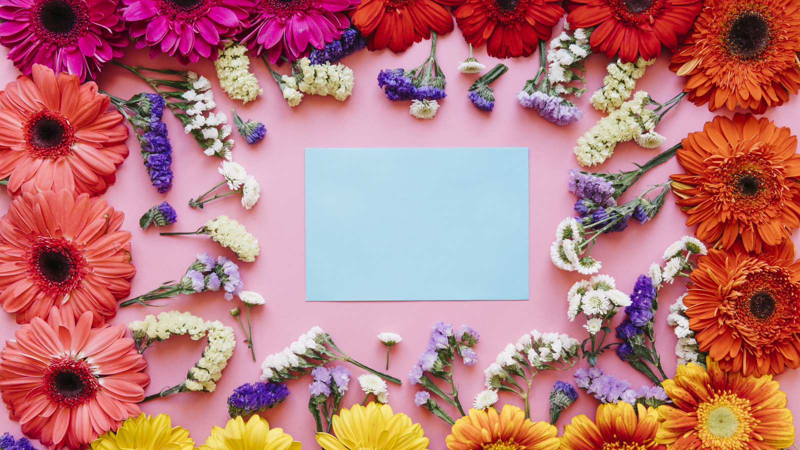 Лист бумаги и герберы на розовом фоне, шаблон