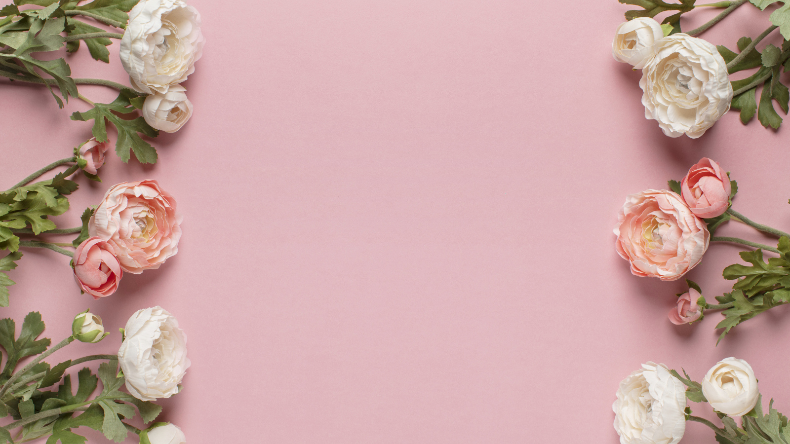 Белые и розовые лютики на розовом фоне, шаблон 