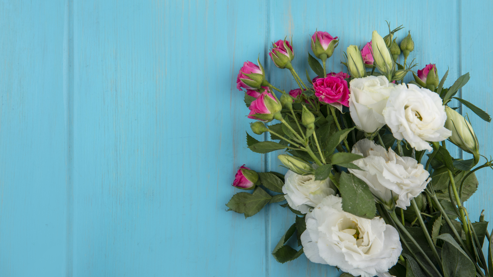 Белые цветы эустомы с розовыми розами на голубом фоне