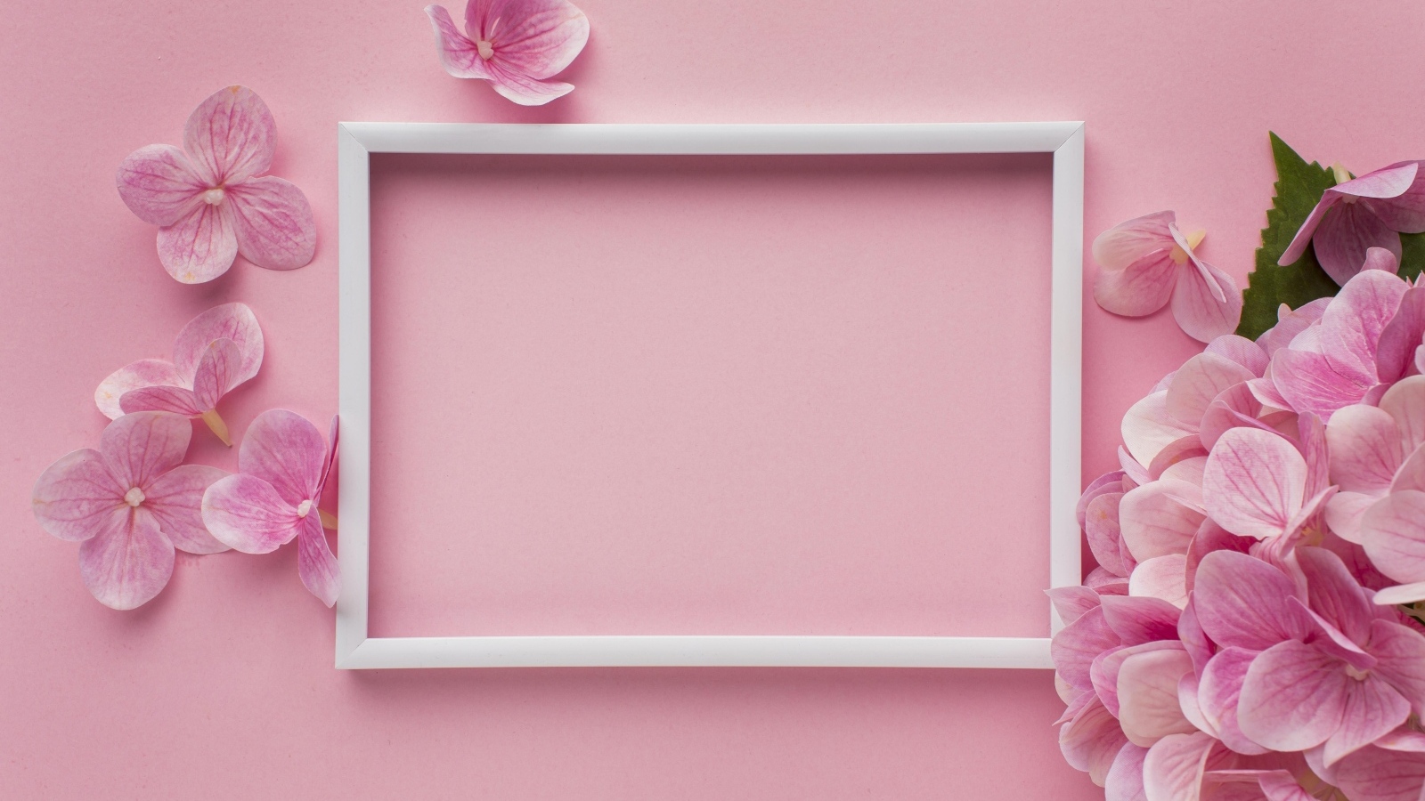 Белая рамка с цветами гортензии на розовом фоне, шаблон для открытки