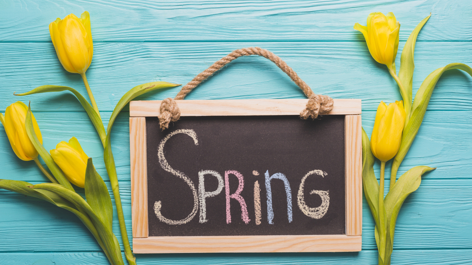 Желтых тюльпаны на голубом фоне с рамкой с надписью весна