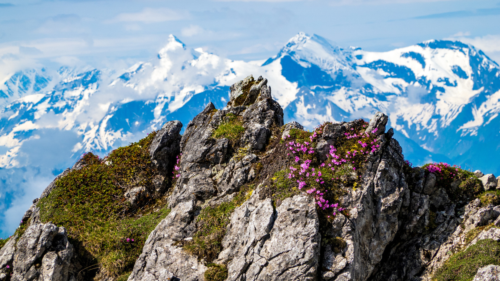 Красивый вид на высокие Австрийские Альпы