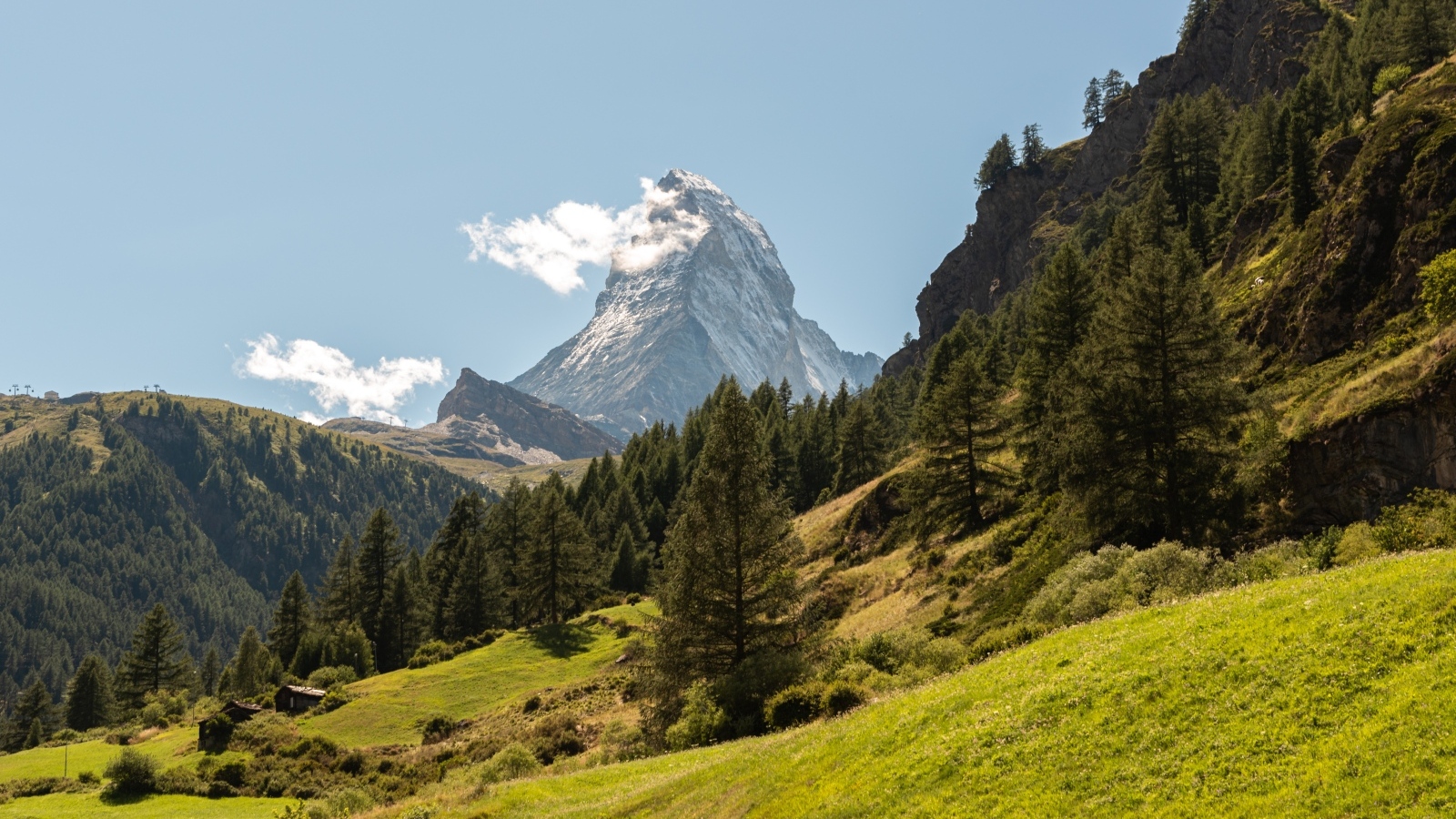 Вид на лес и высокую горную вершину