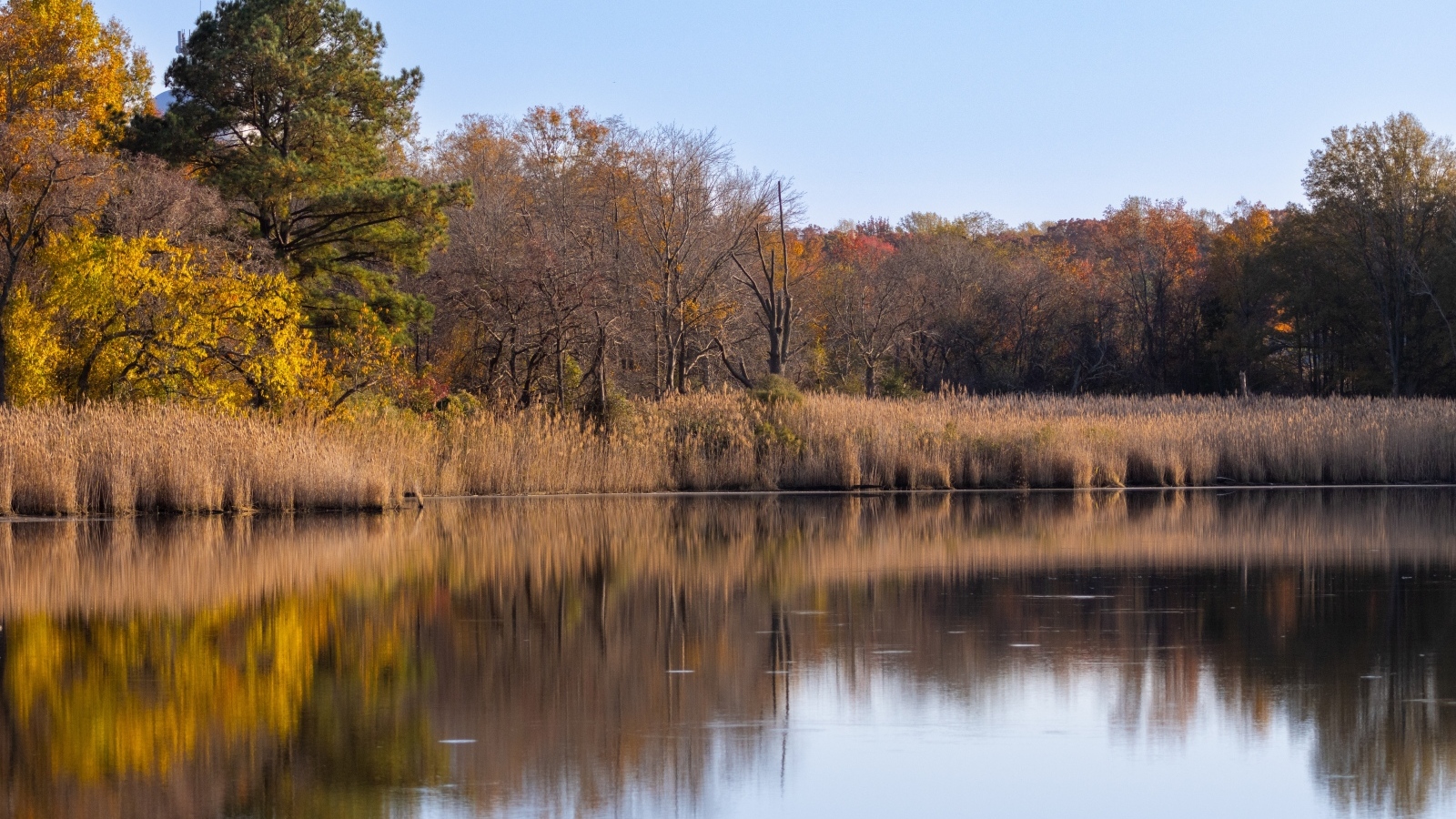 Спокойное озеро в лесу осенью 