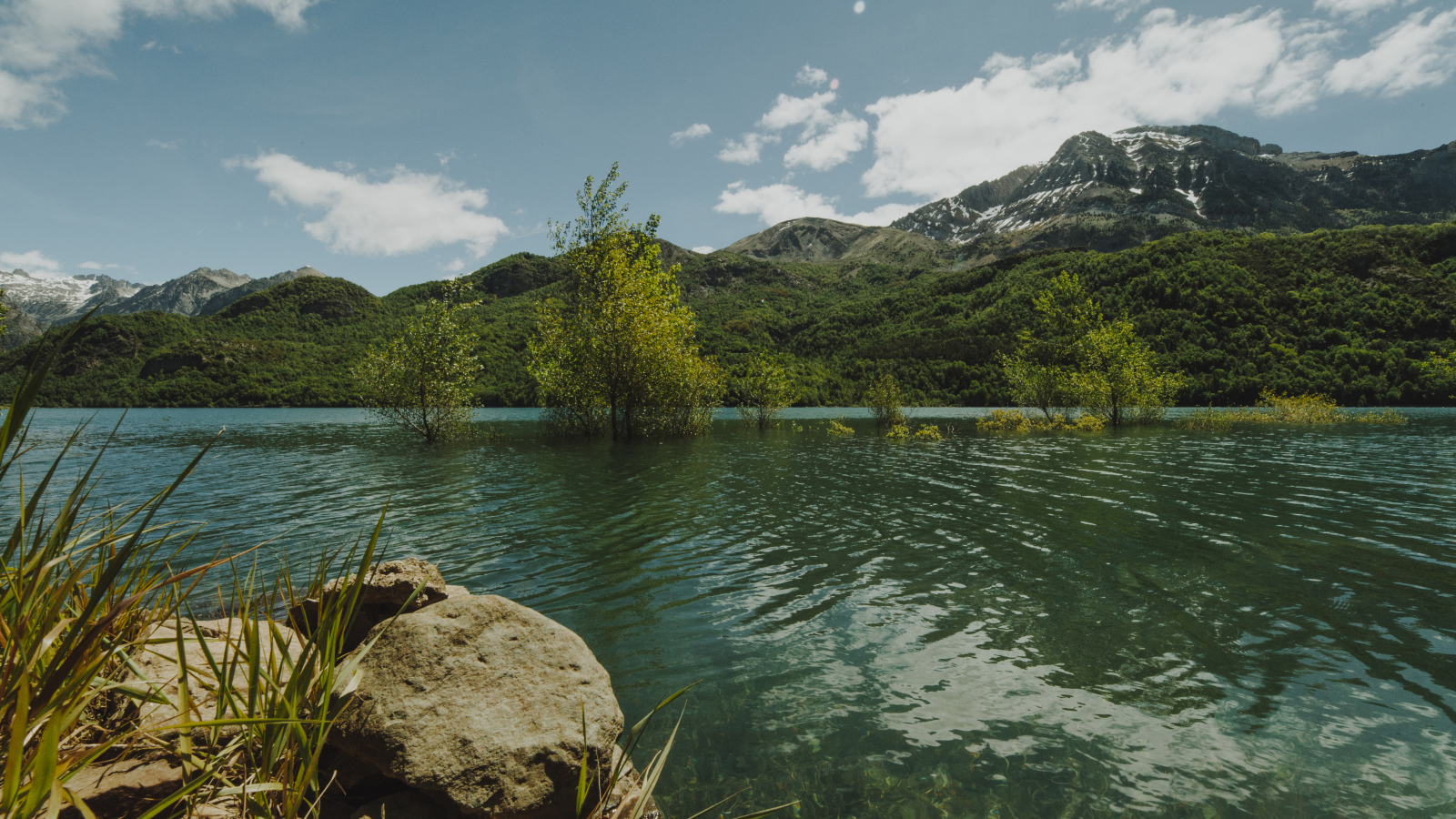 Зеленая вода в реке на фоне гор 