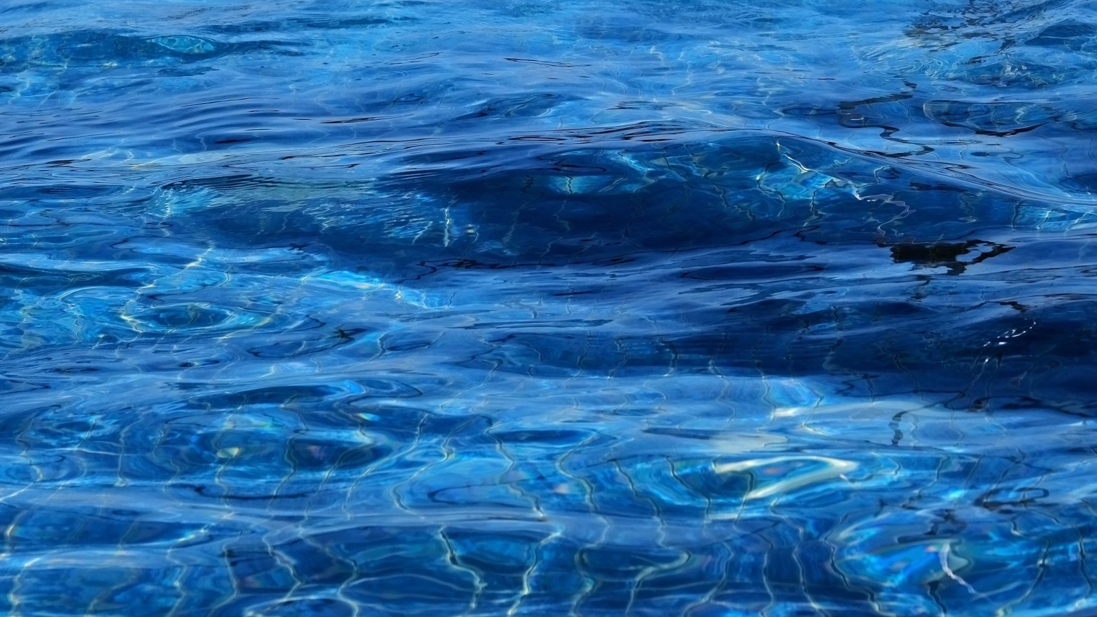 Синяя спокойная вода океана