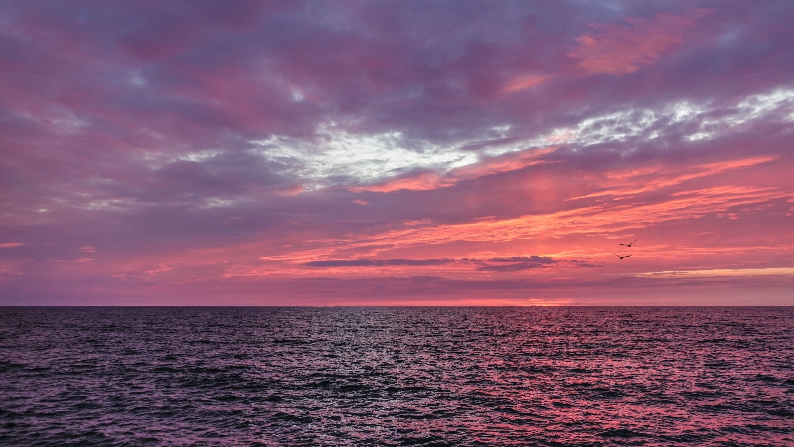 Красивый сиреневый закат над морем