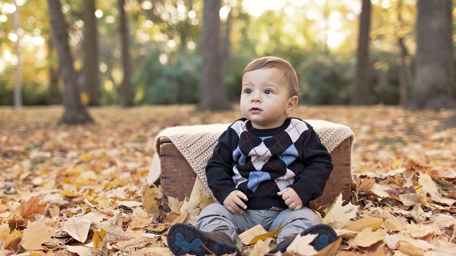 Мальчик сидит на опавшей осенней листве