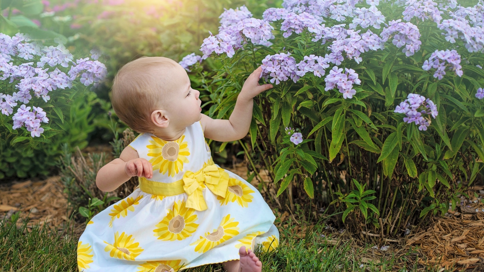 Маленькая девочка в платье сидит у цветов флокса