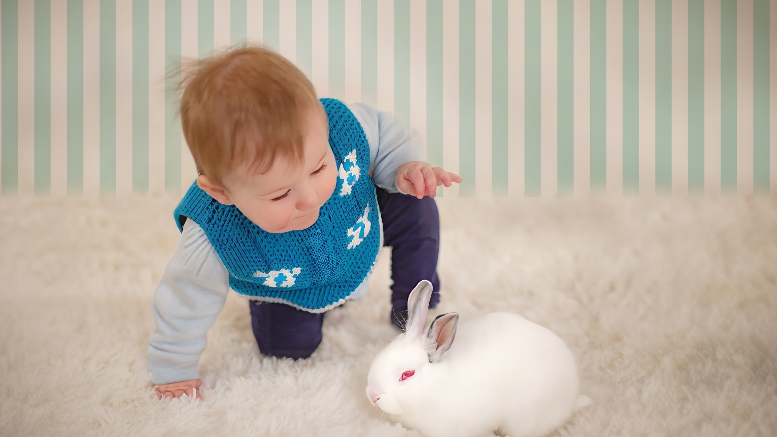 Смешной маленький мальчик с белым кроликом