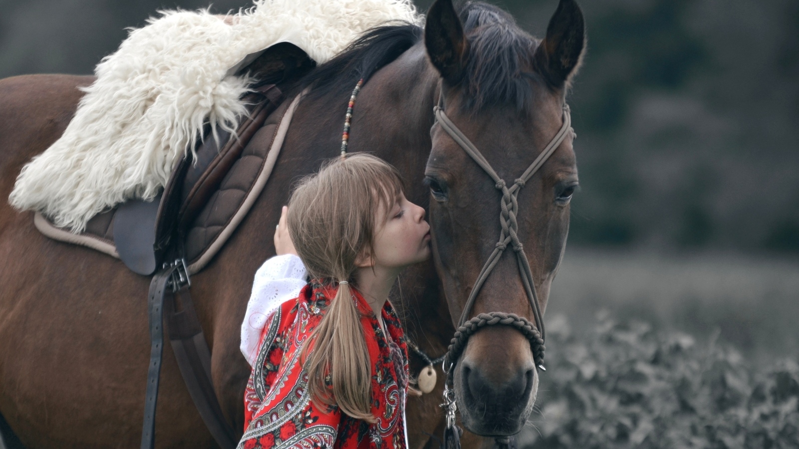 Девочка с большим коричневым конем