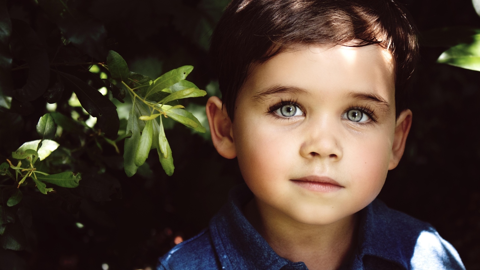 Маленький мальчик с красивыми большими глазами