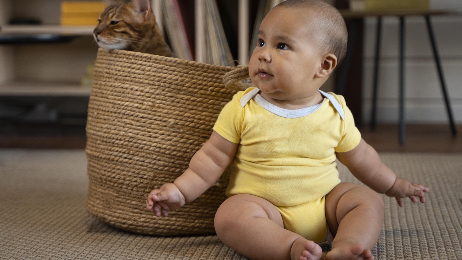 Маленький забавный ребенок с котом в корзине