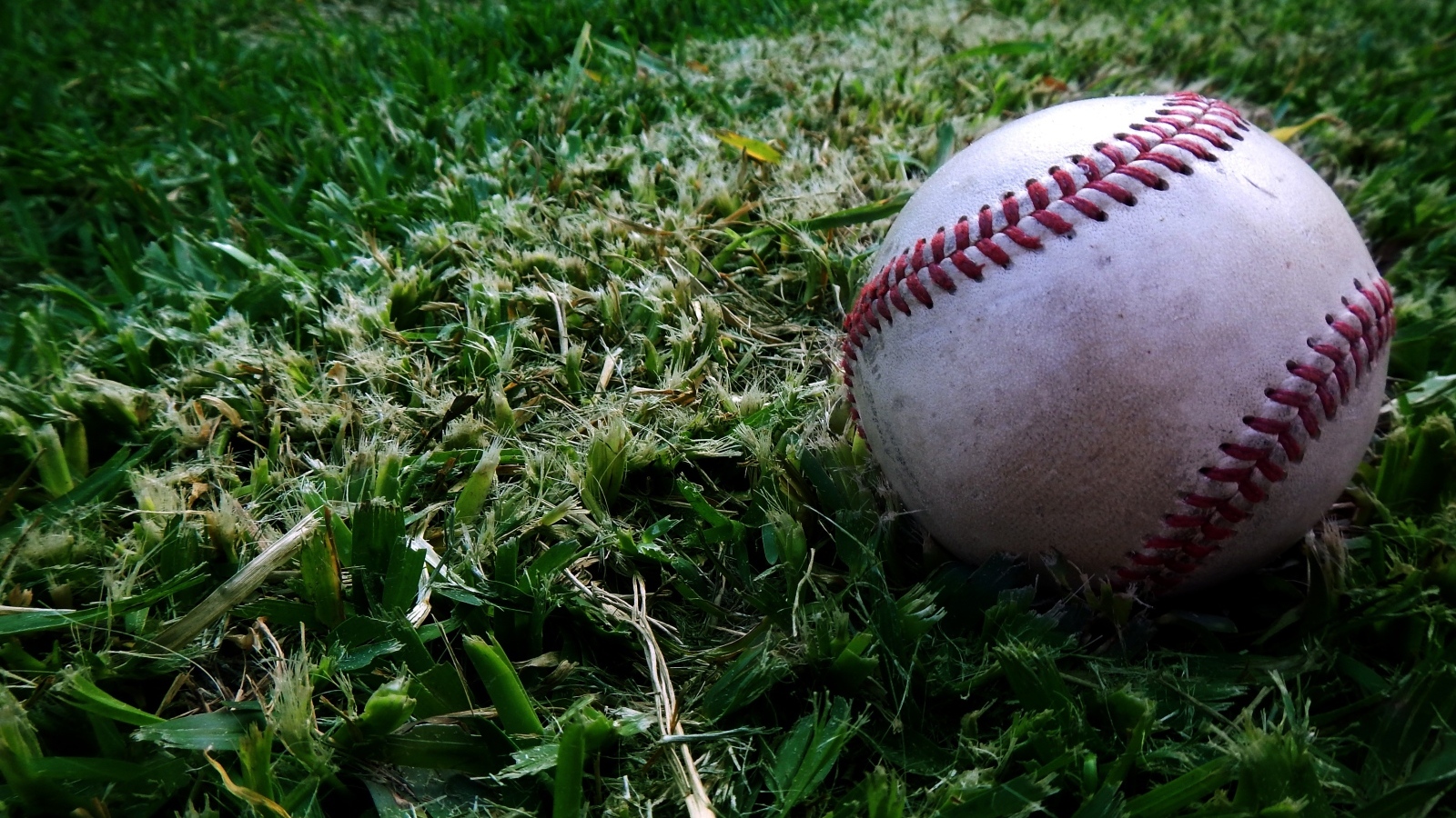 Мяч для бейсбола на траве 