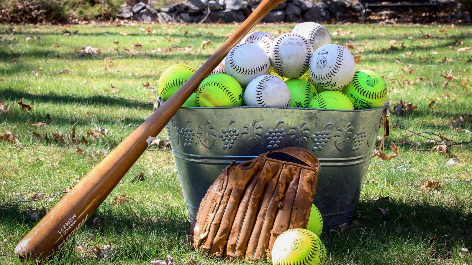 Ведро с бейсбольными мячами и битой