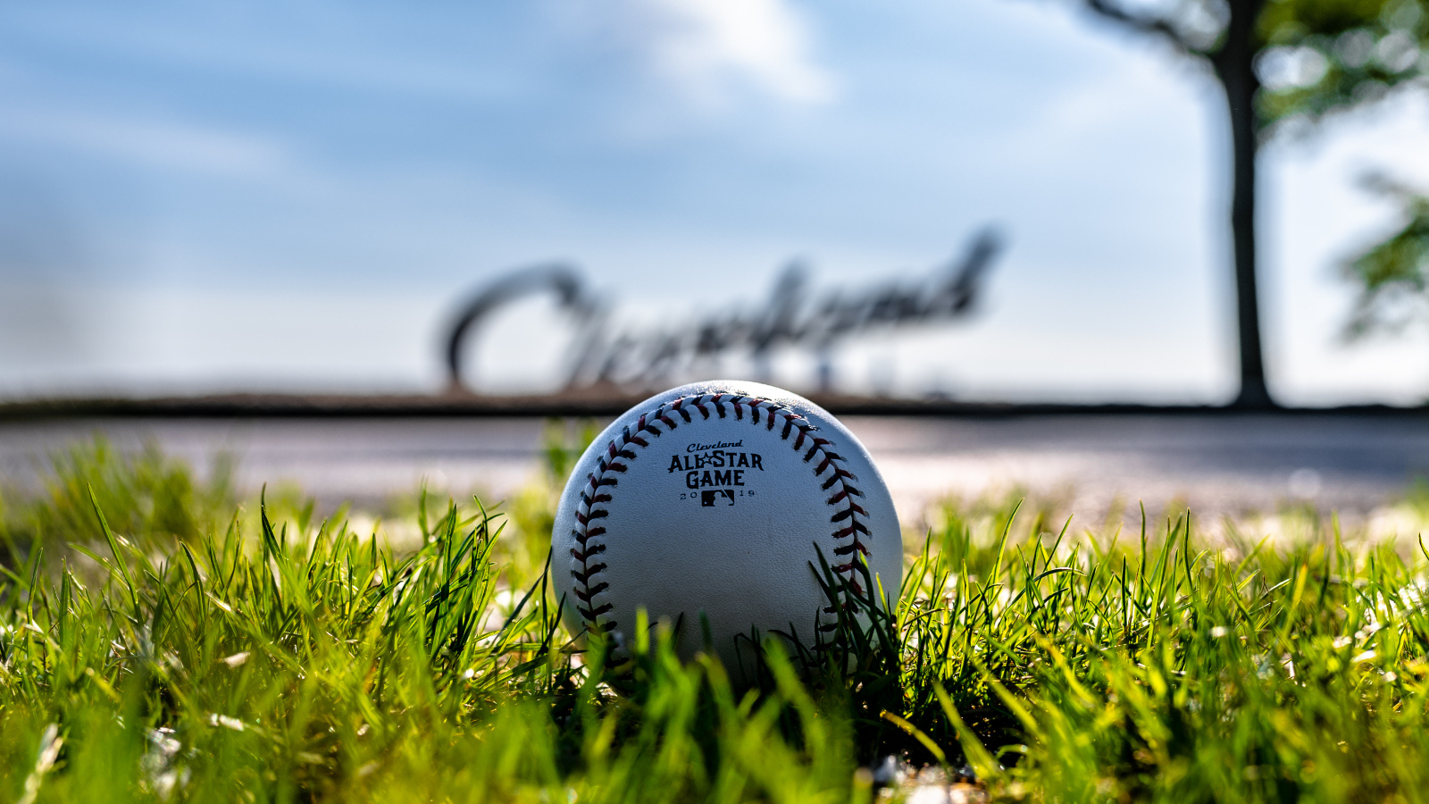 Кожаный бейсбольный мяч на зеленой траве