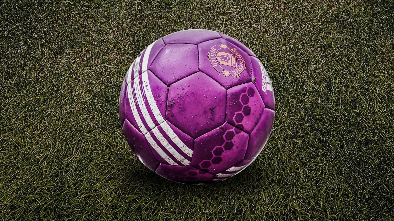 Фиолетовый футбольный мяч на траве