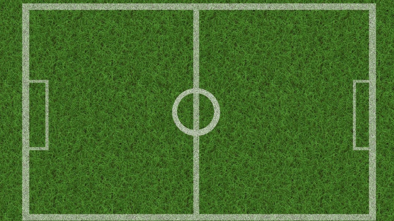 Поле расчерчено белыми линиями на зеленой траве