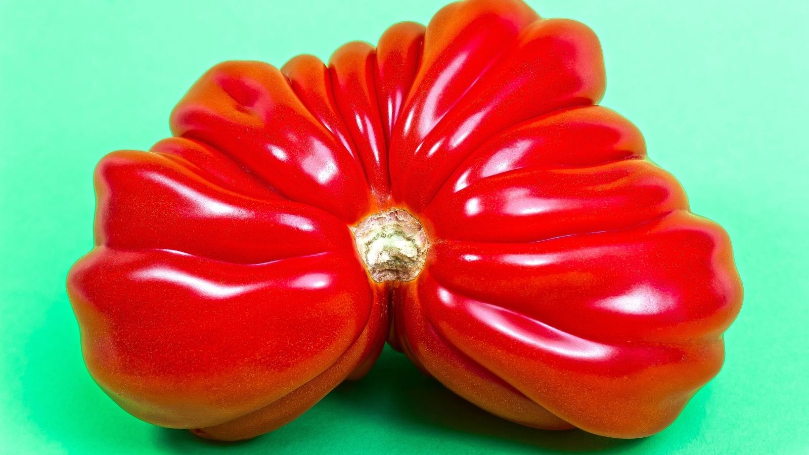 Большой спелый красный томат на зеленом фоне