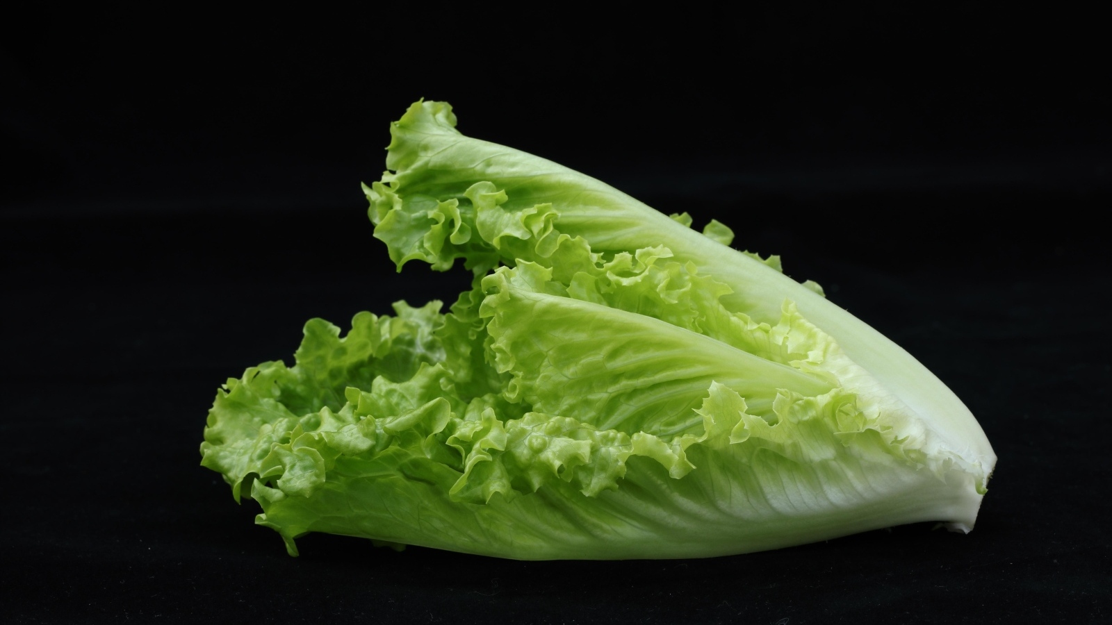 Салат латук на черном фоне
