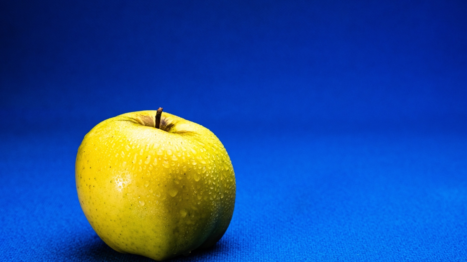 Большое желтое мокрое яблоко на синем фоне