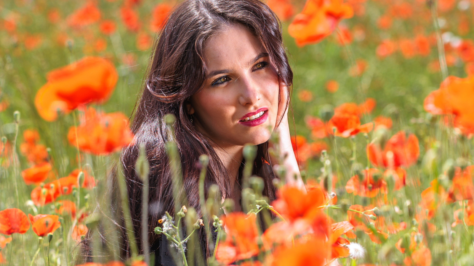 Молодая кареглазая девушка лежит на поле с красными маками