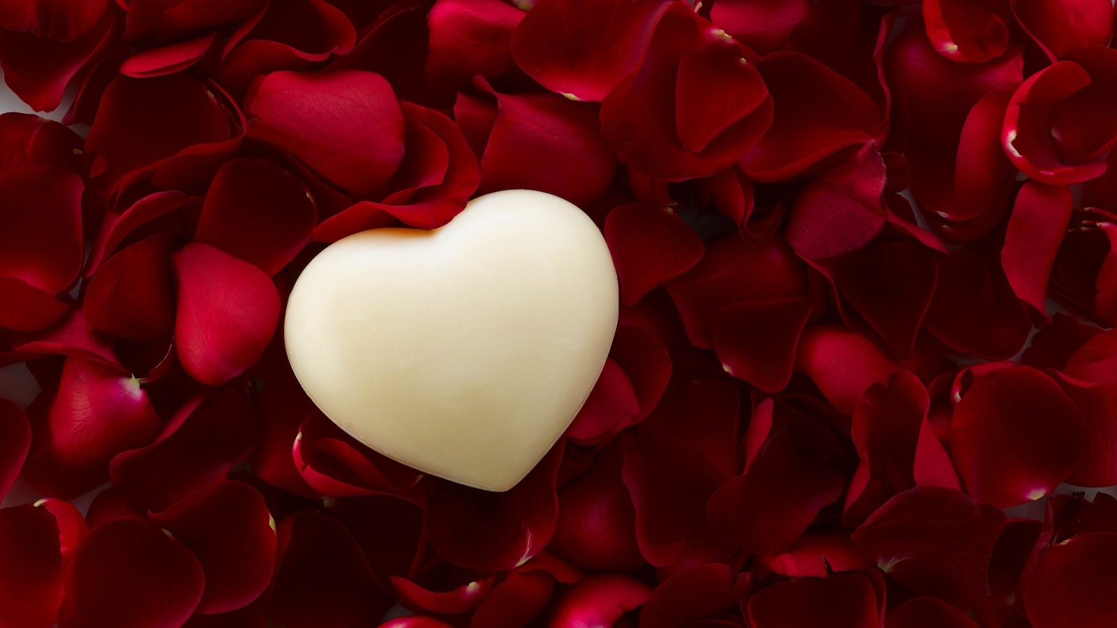 Белое сердце на красных лепестках розы