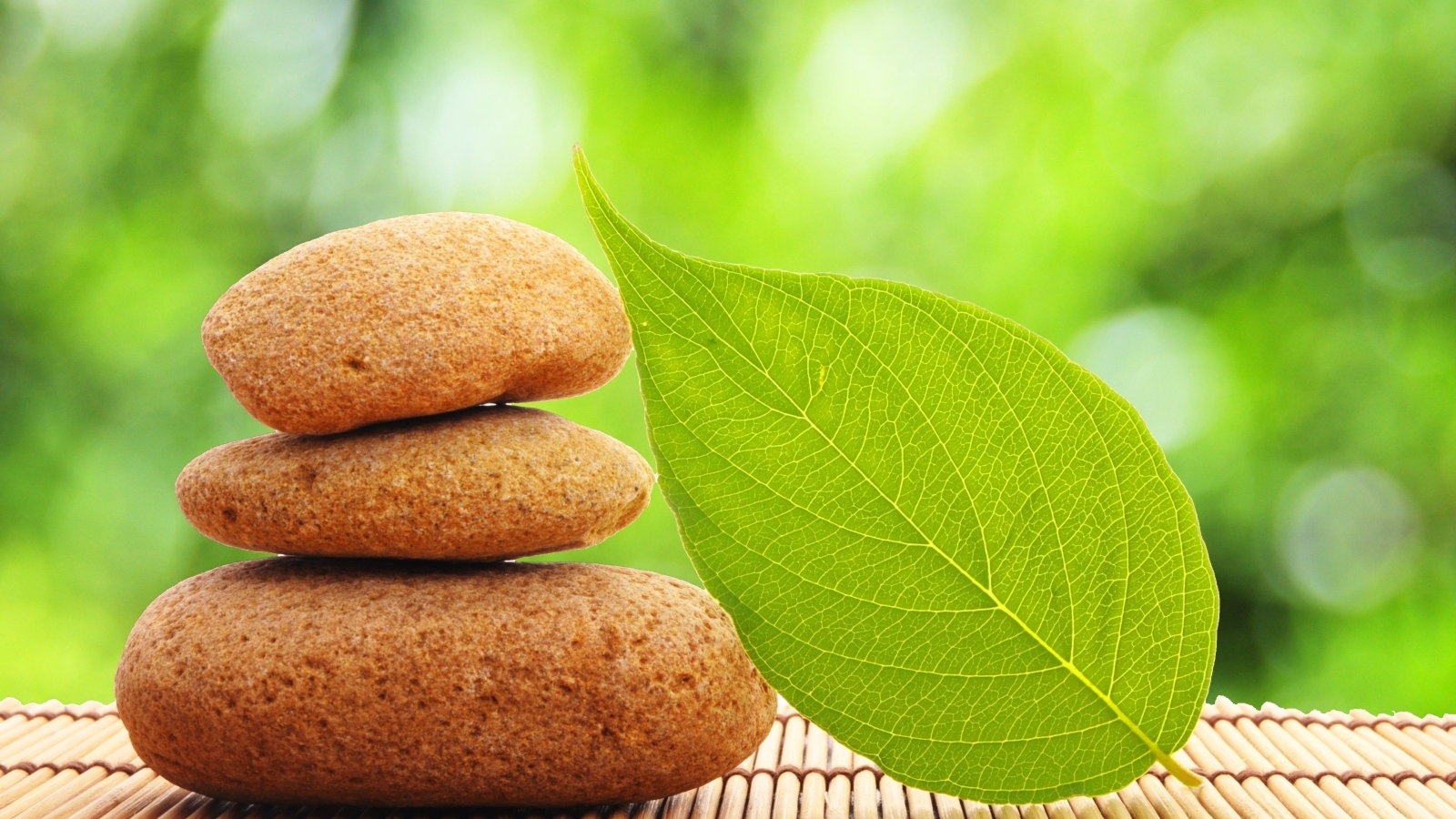 Пирамида из камней с зеленым листом 