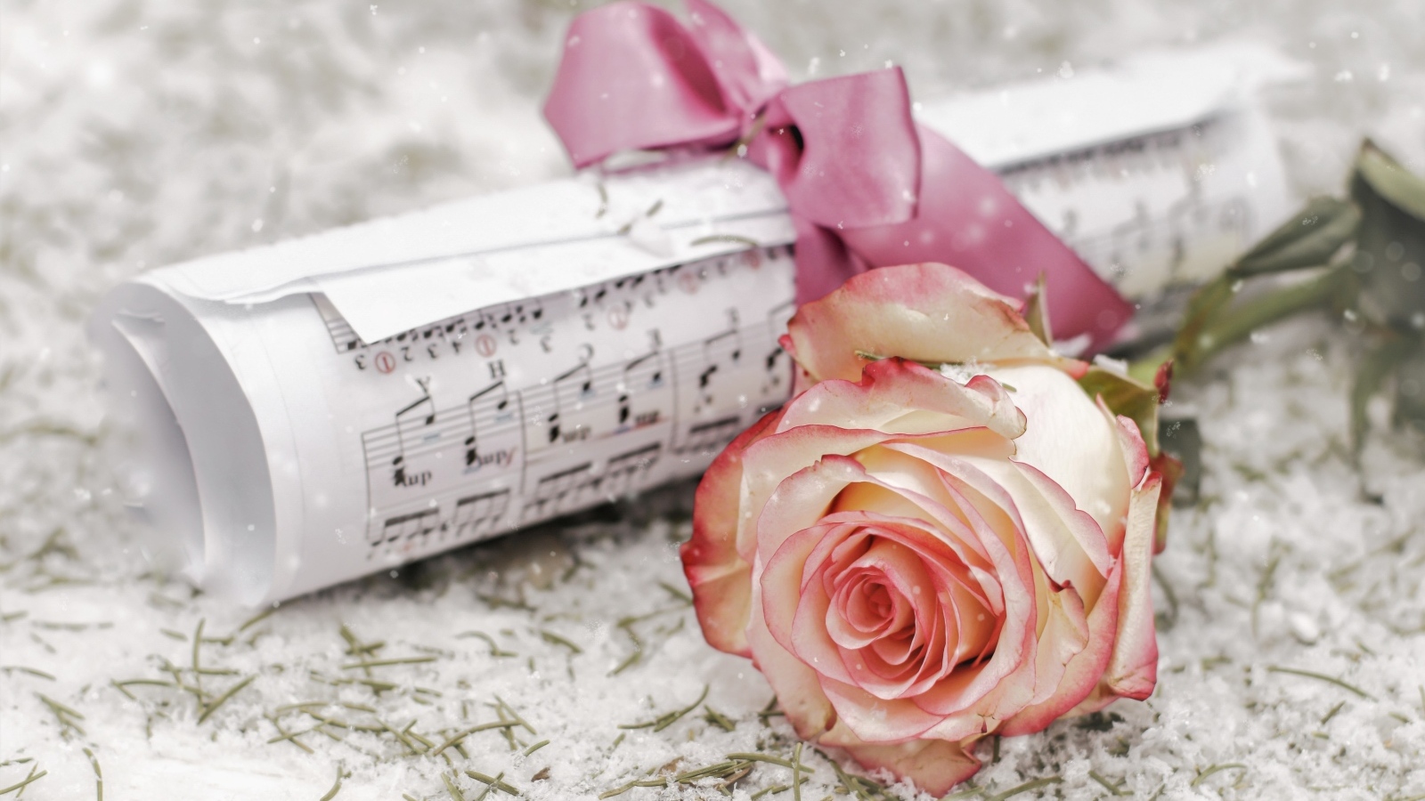 Роза и сверток с нотами лежит на снегу