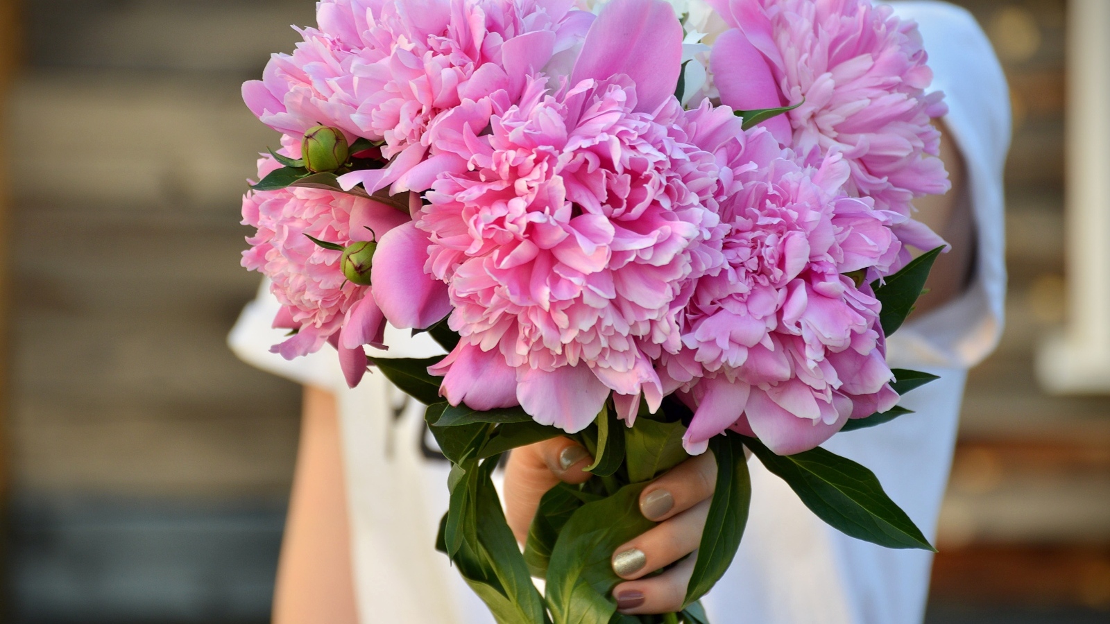 Букет розовых ароматных пионов в руке