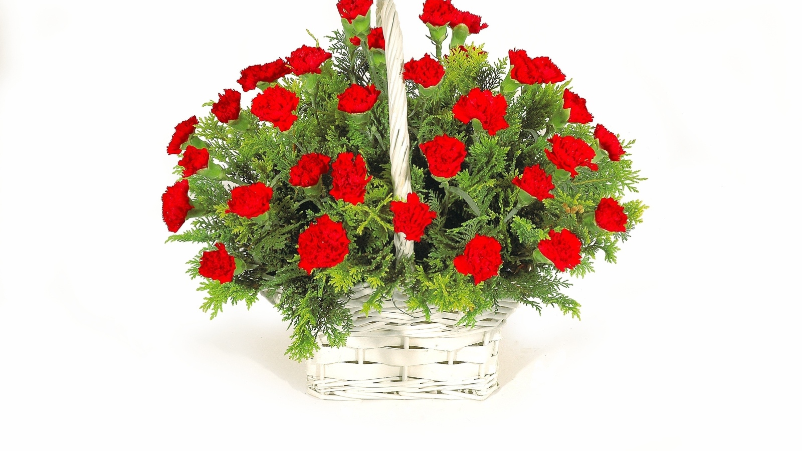 Букет красных гвоздик в корзине на белом фоне