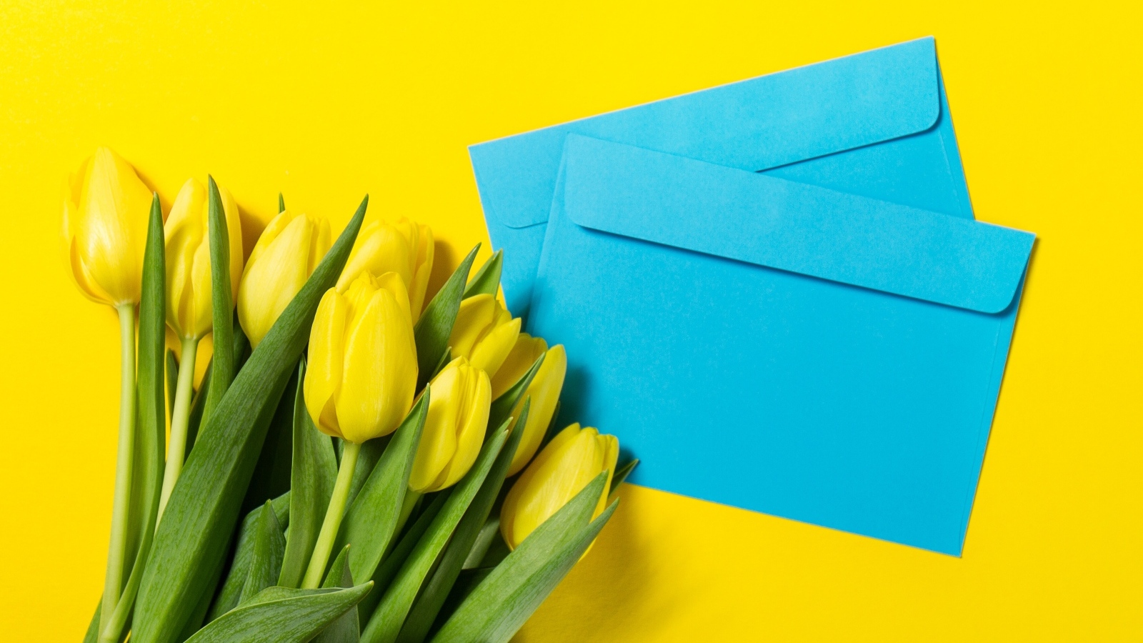 Два синих конверта с тюльпанами на желтом фоне