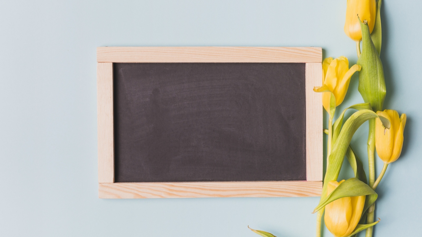 Желтые тюльпаны с рамкой для фона на сером фоне