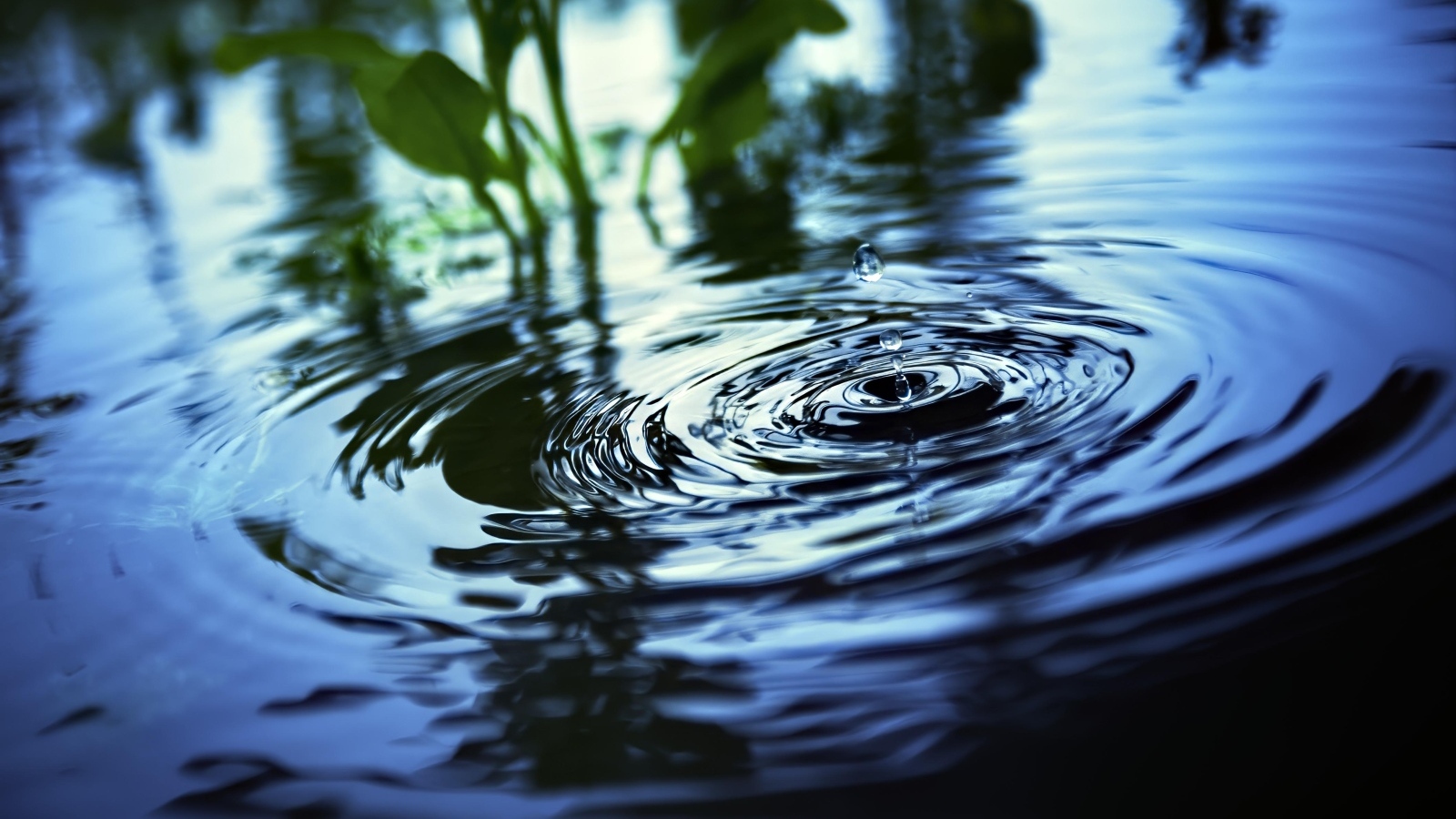 Круги и брызги на воде 